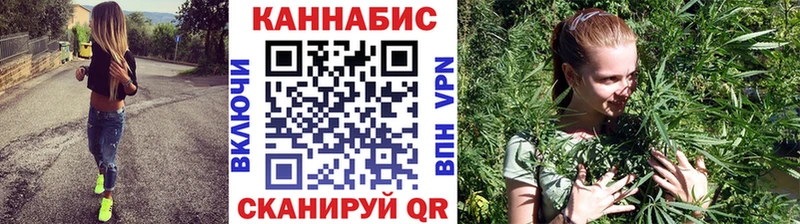 Каннабис планчик Коряжма